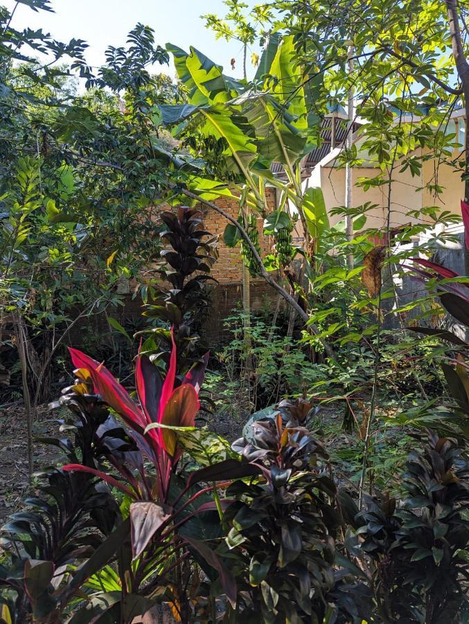 Agus Family Homestay ラブハン・バジョ エクステリア 写真
